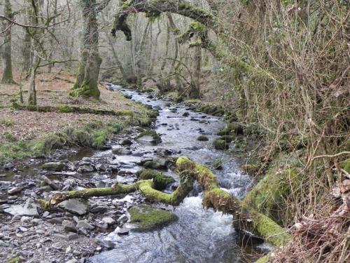 55.-Downstream-from-Prickslade-Combe