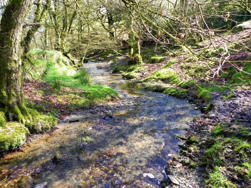 55.-Downstream-from-Riscombe-Combe-2