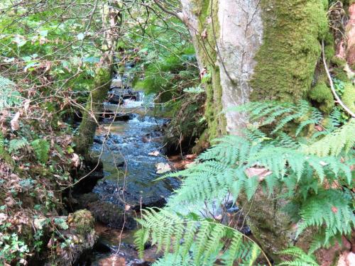 55.-Downstream-from-bridleway-DU-715-ford-2