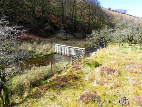 55.-Flowing-below-Furzehill-Common-2