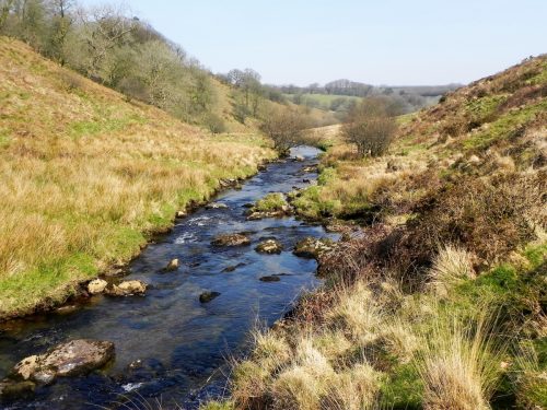 55.-Flowing-past-Cornham-Brake-2