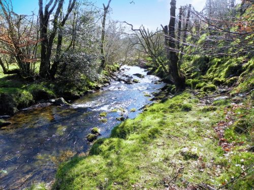 55.-Flowing-past-Shircombe-Brake-2