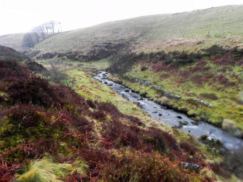 55.-Looking-down-from-Toms-Hill-Barrows-2