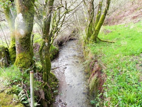 55.-Looking-downstream-from-Tinnardy-Bridge-2