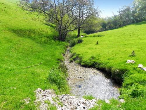 55.-Looking-downstream-from-from-Old-Stowey-Farm-track-culvert-2