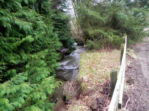 55.-Looking-upstream-from-Stolford-Hill-Bridge-2