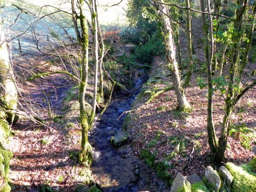 55.-Quarme-Combe-tributary-stream-2
