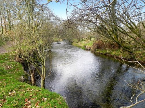 55.-Upstream-from-New-Bridge-Withypool-2