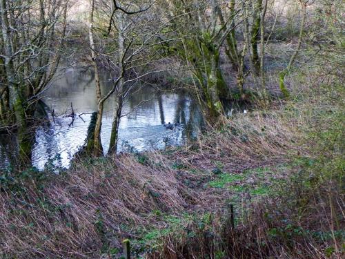 55.-Upstream-from-Tucking-Mill-2