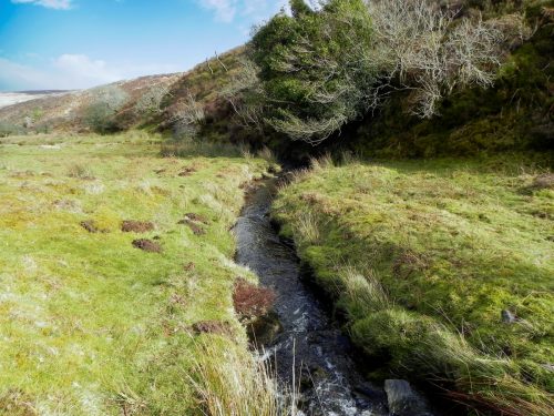 55.-Upstream-from-confluence-with-Embercombe-Water-2