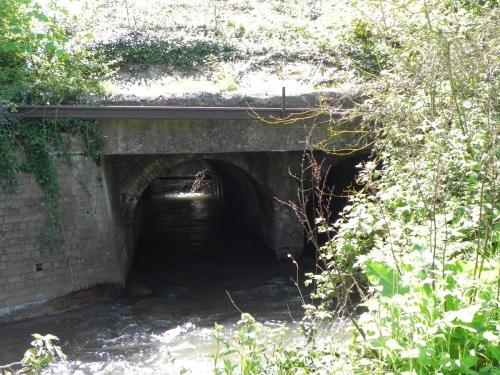 55.-Watchet-Railway-Bridge-downstream-arch