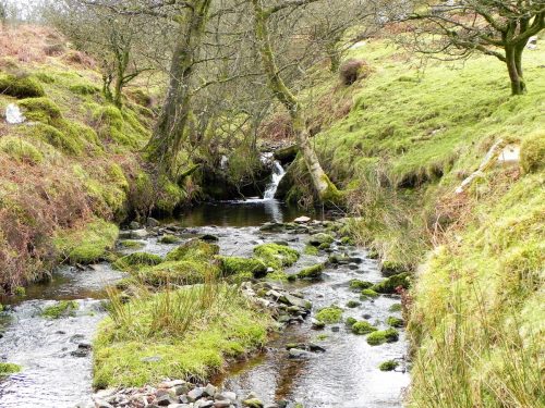 55.-Waters-from-Middle-Hill-join-2