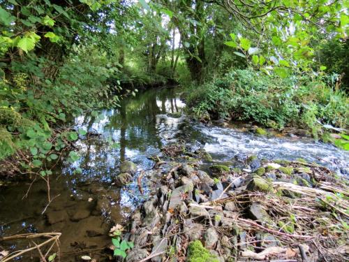 55.-Weir-upstream-ROW-Bridge-5431-2