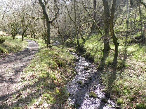 56.-Downstream-from-Bromham-Farm-Bridge