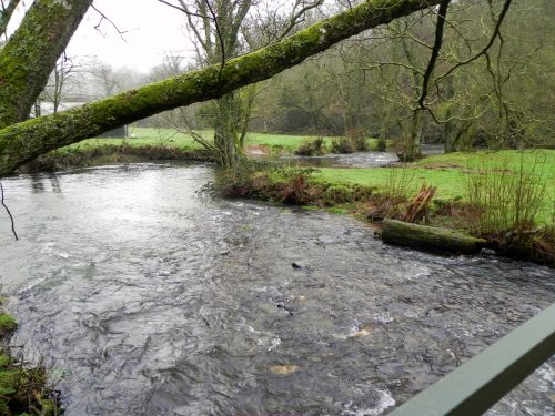 56.-Downstream-from-Lower-Clammer-2