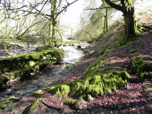 56.-Downstream-from-Riscombe-Combe-2