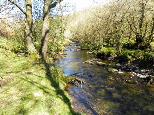 56.-Flowing-past-Shircombe-Brake-2
