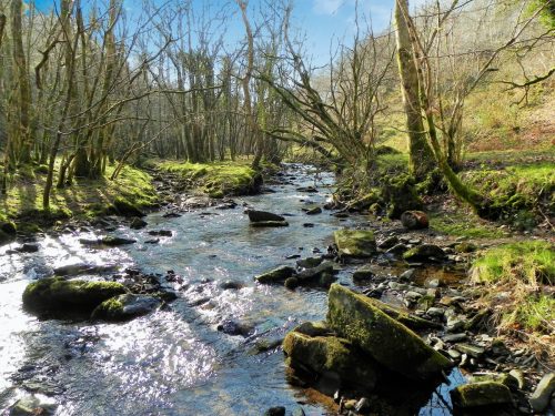 56.-Flowing-through-Combepark-2