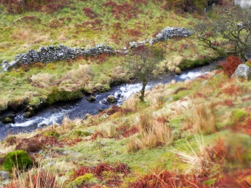 56.-Looking-down-from-Toms-Hill-Barrows-2