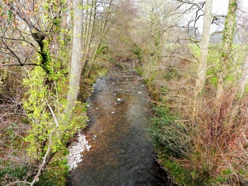 56.-Looking-downstream-from-New-Bridge-2