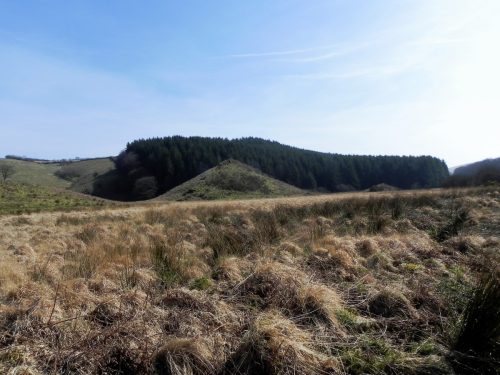 56.-Mound-near-Cow-Castle-2