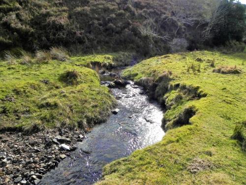 56.-Upstream-from-confluence-with-Embercombe-Water-2