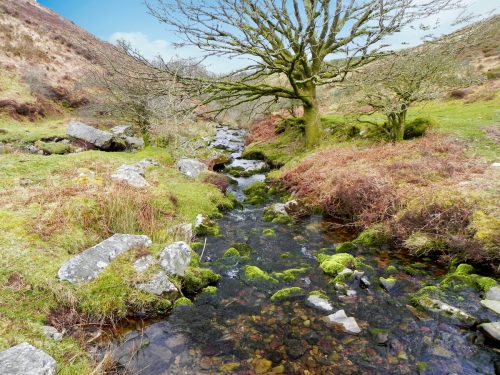 56.-Waters-from-Middle-Hill-join-2