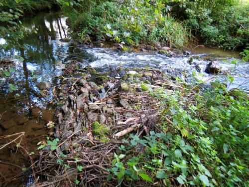 56.-Weir-upstream-ROW-Bridge-5431-2