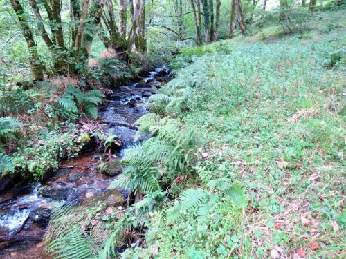 57.-Downstream-from-bridleway-DU-715-ford-2