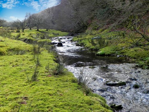 57.-Flowing-below-Furzehill-Common-2