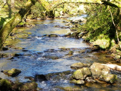 57.-Flowing-past-Shircombe-Brake-2