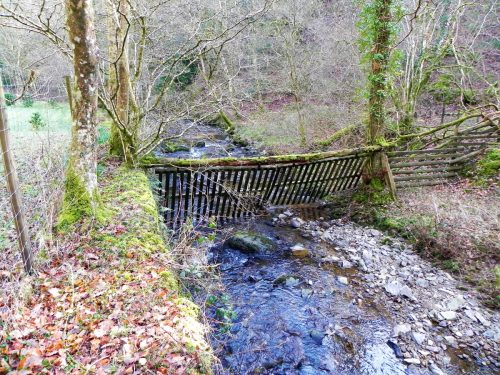 57.-Flowing-through-Combepark-2