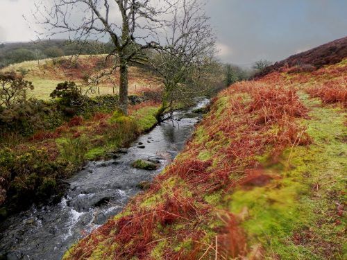 57.-Flowing-towards-Robbers-Bridge-2