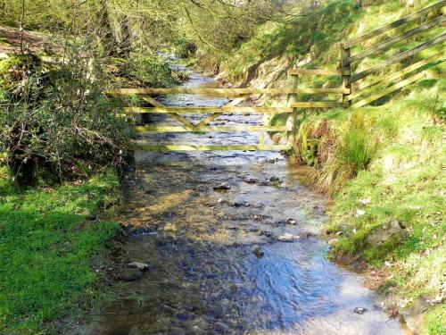 57.-Looking-upstream-from-Withycombe-Bridge-2