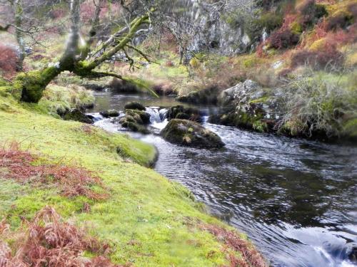 57.-Upstream-from-Hoccombe-Water-join-2