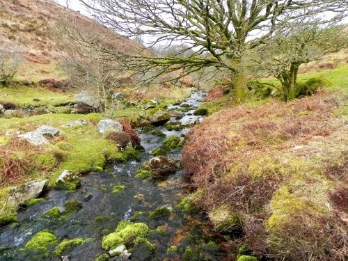 57.-Waters-from-Middle-Hill-join-2