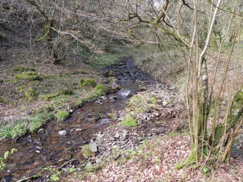 58.-Downstream-from-Bromham-Farm-Bridge