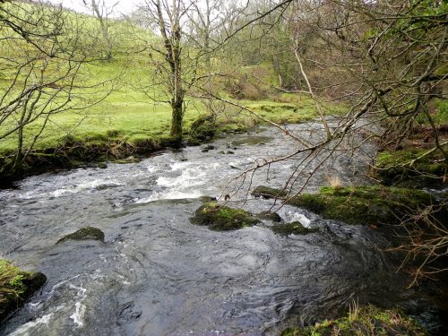 58.-Downstream-from-Cloud-Farm-2