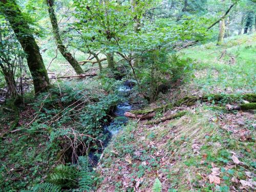 58.-Downstream-from-bridleway-DU-715-ford-2