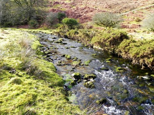 58.-Flowing-below-Furzehill-Common-2