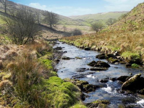 58.-Flowing-past-Cornham-Brake-2