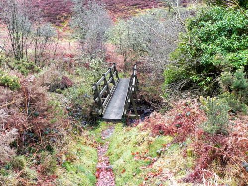 58.-Hookway-Hill-Footbridge-2