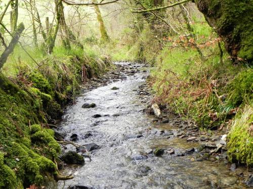 58.-Tributary-stream-joins-fom-above-Holwell-Rocks-2