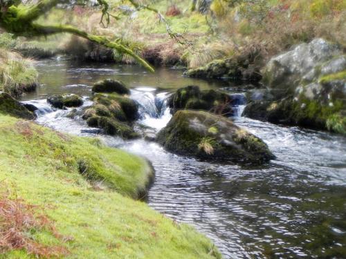 58.-Upstream-from-Hoccombe-Water-join-2