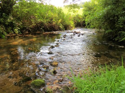 58.-Upstream-from-ROW-bridge-5431-2