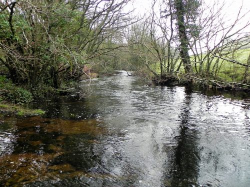 59.-Downstream-from-Cloud-Farm-2