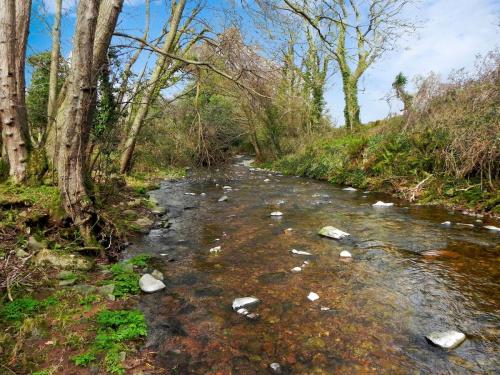 59.-Downstream-from-New-Bridge-2