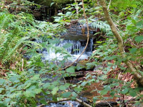 59.-Downstream-from-bridleway-DU-715-ford-2