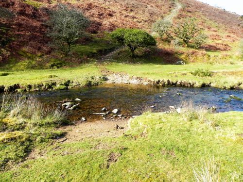 59.-Flowing-below-Furzehill-Common-2