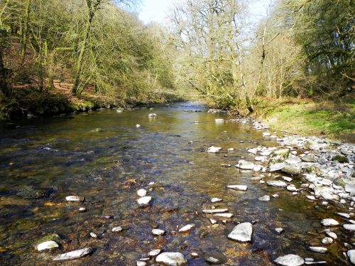 59.-Flowing-past-Mill-Ham-Wood-2
